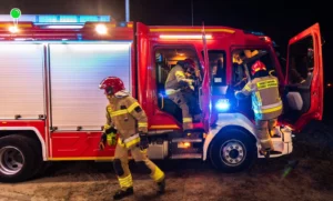 Pożar drewnianego domu w Malborku. 11 zastępów w akcji (FOTO: PSP)