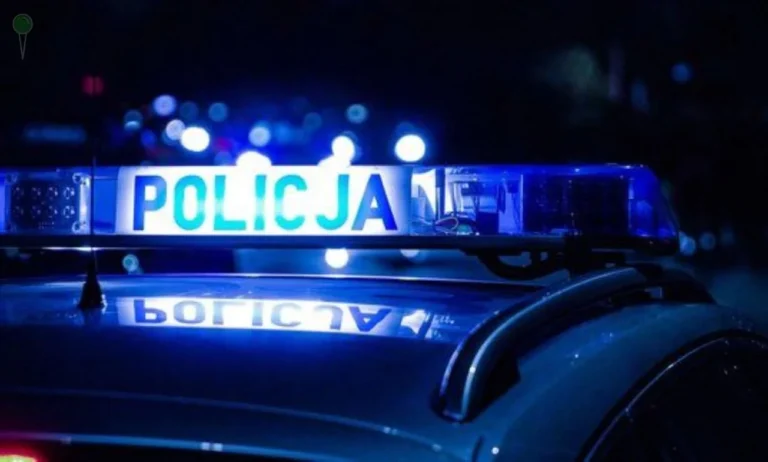 Dachowanie w Pruszczu Gdańskim. Auto wpadło na chodnik (FOTO: policja.pl)