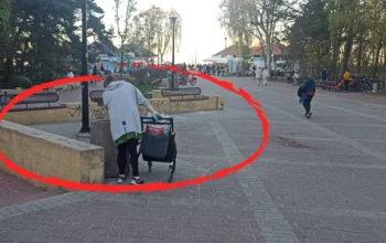 Podatek za zbieranie butelek i puszek? Mamy stanowisko KAS (FOTO: wbijamszpile.pl)