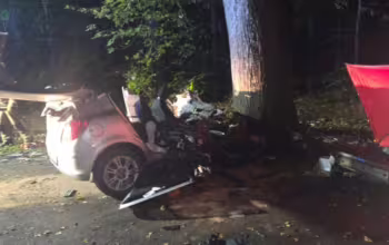Śmiertelny wypadek w Przewozie. Samochód uderzył w drzewo (FOTO: KW PSP w Gdańsku)