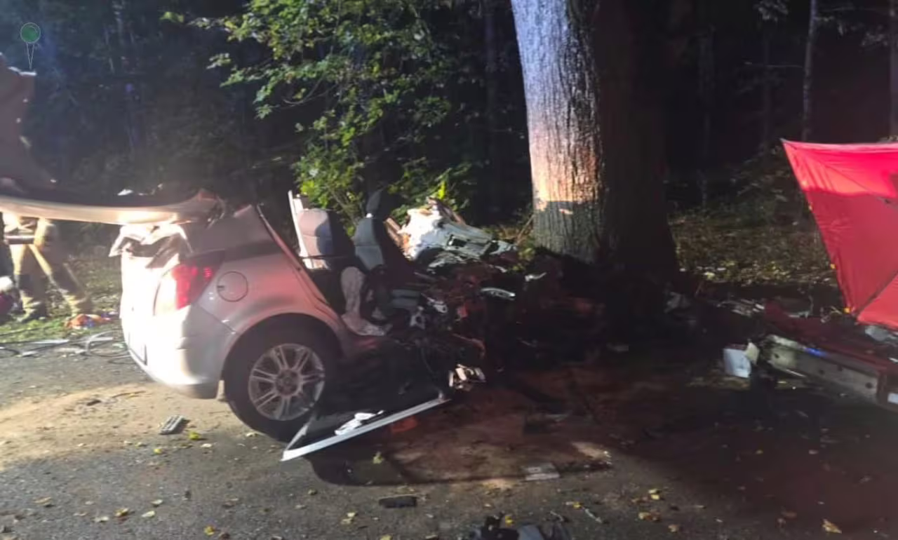Śmiertelny wypadek w Przewozie. Samochód uderzył w drzewo (FOTO: KW PSP w Gdańsku)