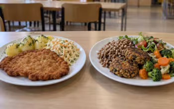 Rewolucja w szkolnych stołówkach. Strączki zamiast schabowego (FOTO: AI)