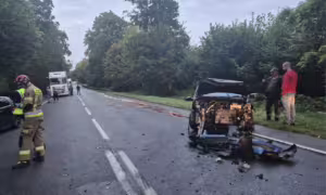 Wypadek w Rywałdzie na DK 22. Cztery osoby ranne (FOTO: KW PSP Gdańsk)