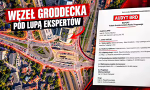 Audyt ekostrady w Gdańsku. Ryzyko potrącenia na Węźle Groddecka (FOTO: wbijamszpile.pl/Google Maps)