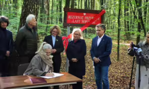 Lasy Sopockie rezerwatem. Wyznaczenie szlaków dopiero w kolejnym zarządzeniu (FOTO: Ministerstwo Klimatu i Środowiska)