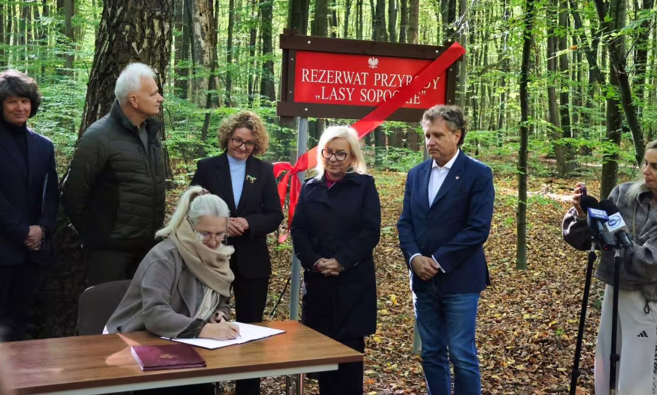 Lasy Sopockie rezerwatem. Wyznaczenie szlaków dopiero w kolejnym zarządzeniu (FOTO: Ministerstwo Klimatu i Środowiska)