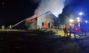 Pożar stajni w Trąbkach Małych. Trzy konie zginęły (FOTO: KWPSP Gdańsk)