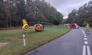 Stegna: pijany kierowca potrącił nastolatka. Dwa miesiące aresztu (FOTO: KMP Nowy Dwór Gdański)