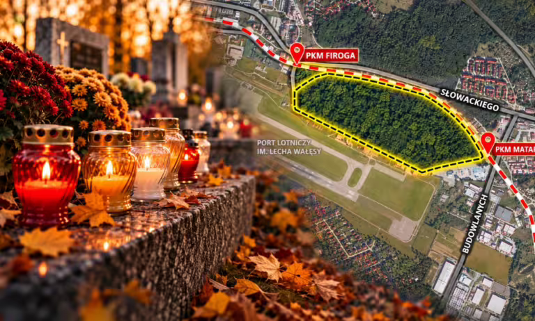 Las pod cmentarz w Gdańsku? Mieszkańcy protestują. Ich radni zagłosowali za planem (FOTO: canva/BRG)