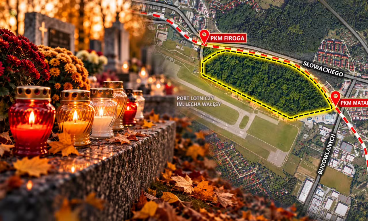Las pod cmentarz w Gdańsku? Mieszkańcy protestują. Ich radni zagłosowali za planem (FOTO: canva/BRG)