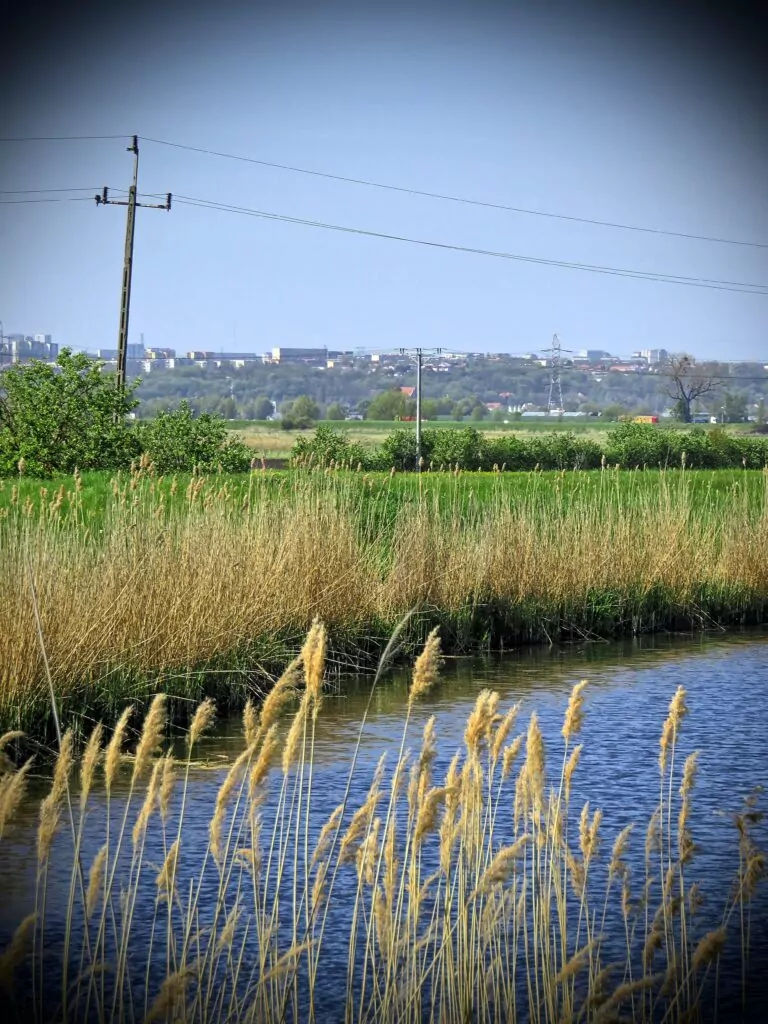 Na tym zdjęcie doskonale widać jak gwałtownie krajobraz przechodzi z nizinnego na morenowy w rejonie Gdańska (FOTO: wbijamszpile.pl)