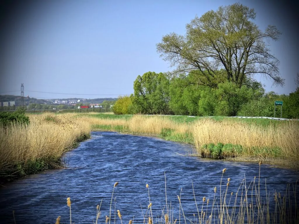 Żuławy Gdańskie poprzecinane są większymi bądź mniejszymi rzekami, kanałami, a nawet strugami (FOTO: wbijamszpile.pl)