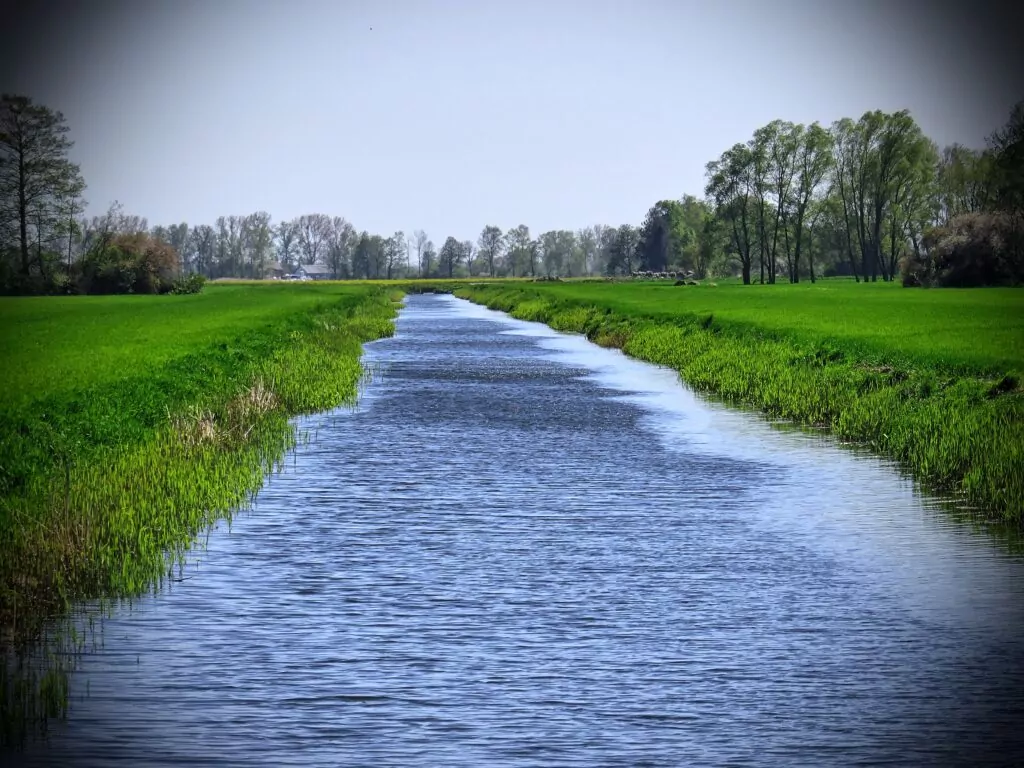 Żuławy Gdańskie w maju to połączenie zieleni, żółtego i niebieskiej wody (FOTO: wbijamszpile.pl)