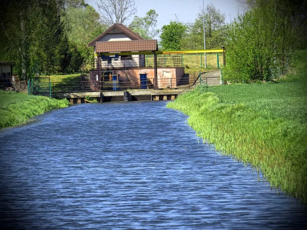 Żuławy Gdańskie w maju to połączenie zieleni, żółtego i niebieskiej wody (FOTO: wbijamszpile.pl)