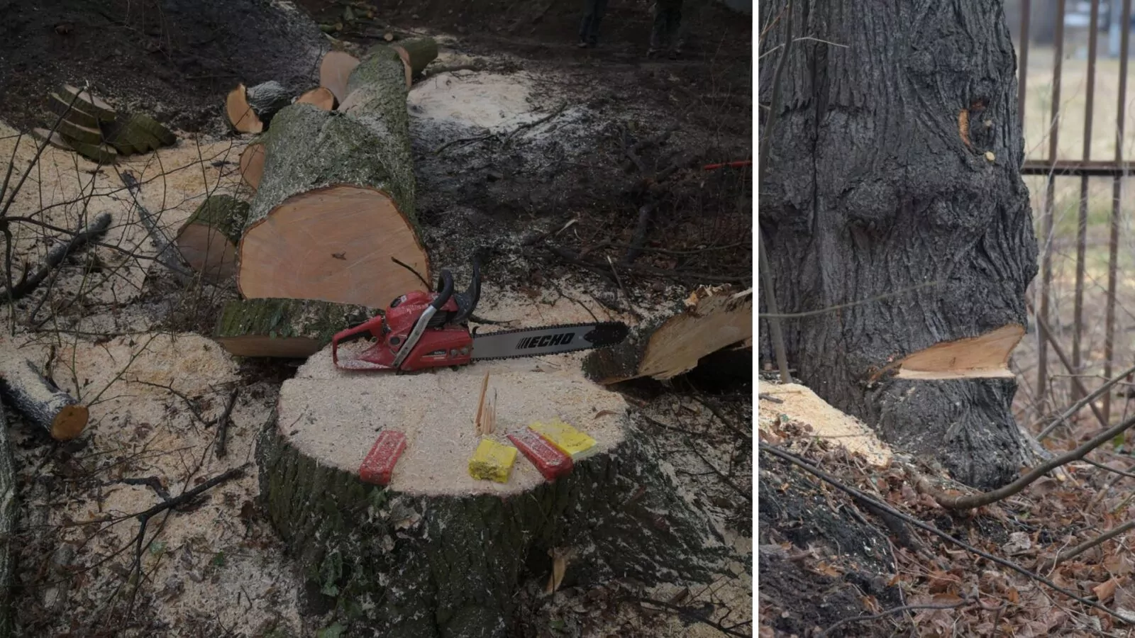 Bitwa o Park Steffensów. Historia walczy z betonowymi gigantami (FOTO: Roger Jackowski)