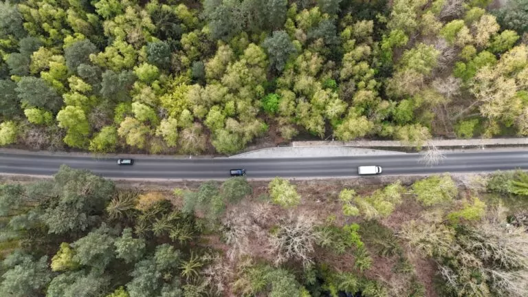 Majówka 2024. Dojazd do Krynicy Morskiej może okazać się koszmarem (FOTO: Facebook/ZDW)