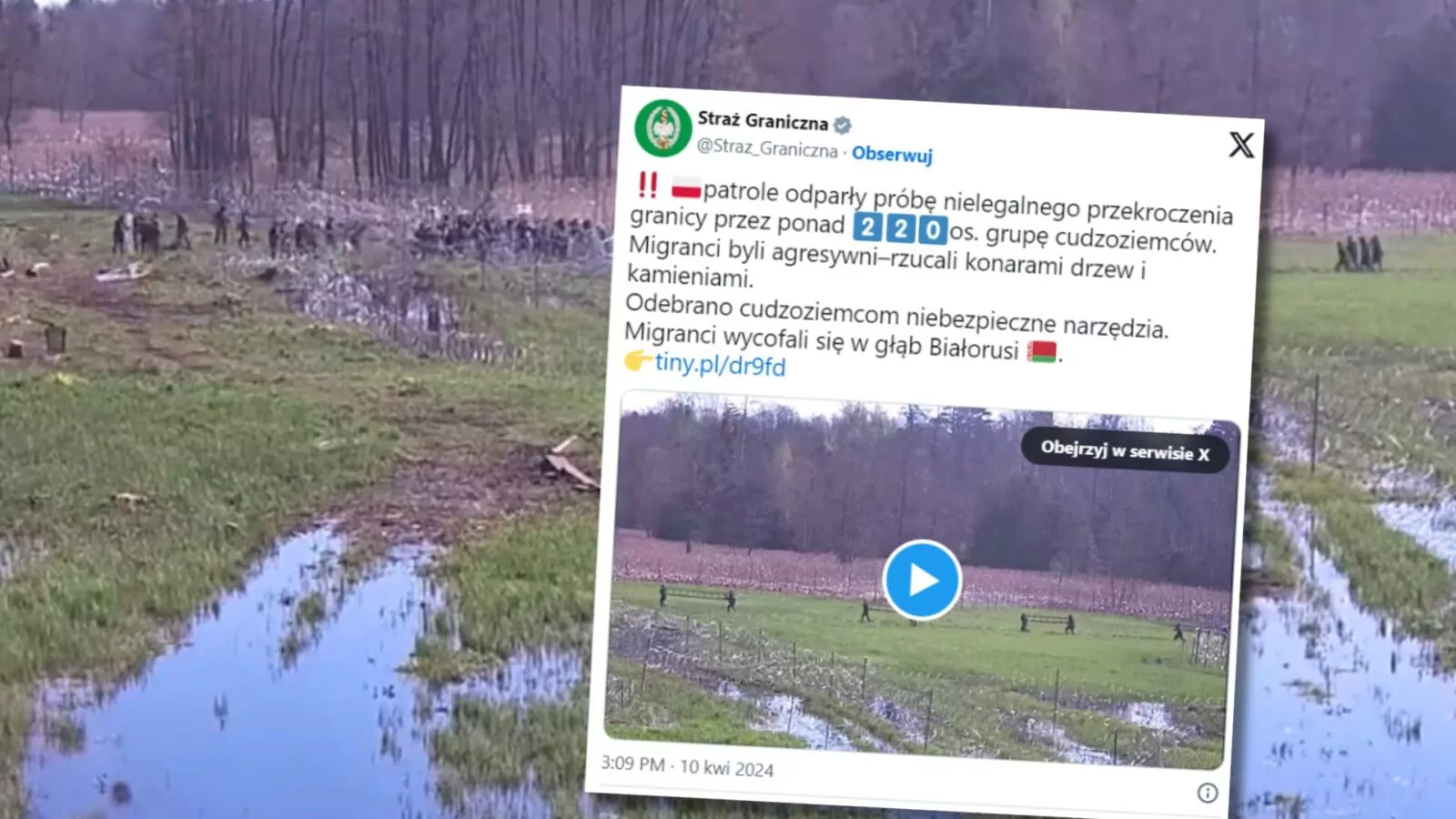 Tłum imigrantów forsował granicę w Białowieży [NAGRANIE] (FOTO: X/Straż Graniczna)