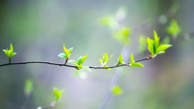 Ciepły wyborczy weekend na Pomorzu (FOTO: canva.com)