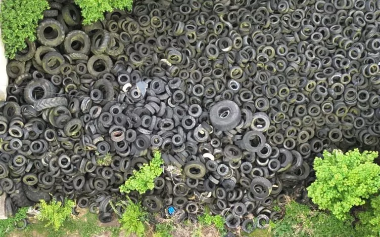 Nielegalne składowisko opon w powiecie malborskim (FOTO: WIOŚ Gdańsk)