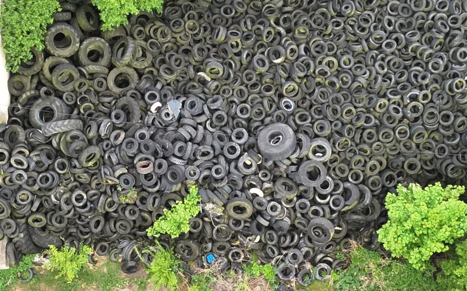 Nielegalne składowisko opon w powiecie malborskim (FOTO: WIOŚ Gdańsk)