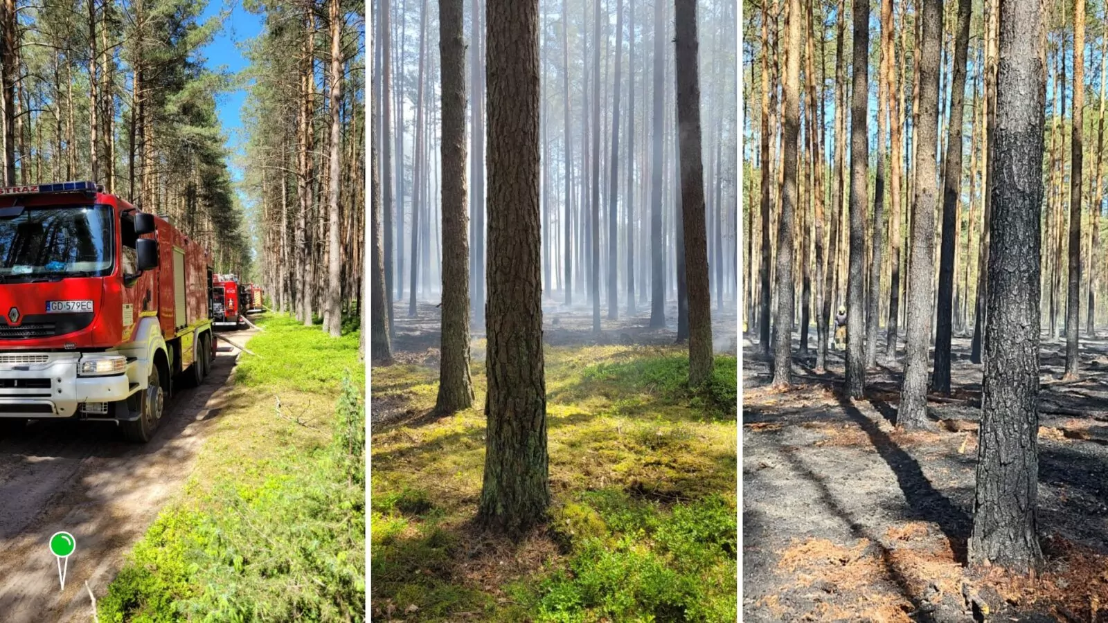 Pożar w Borach Tucholskich na Pomorzu - 17 maja 2024 (FOTO: KPPSP Chojnice)