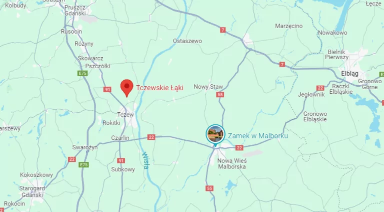 Tczewskie Łąki. Kobieta i dziecko zginęły w pożarze (FOTO: Google Maps)