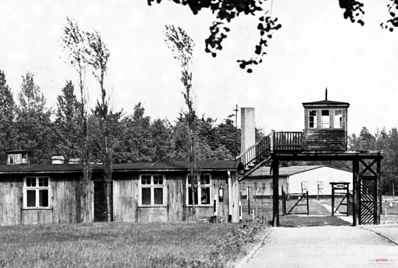 79. rocznica oswobodzenia obozu Stutthof (FOTO: Muzeum Stutthof w Sztutowie)