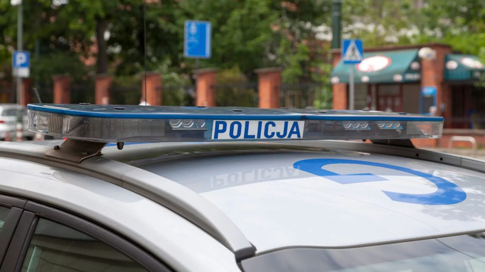 Tragiczna majówka 2024 na polskich drogach (FOTO: canva.com)