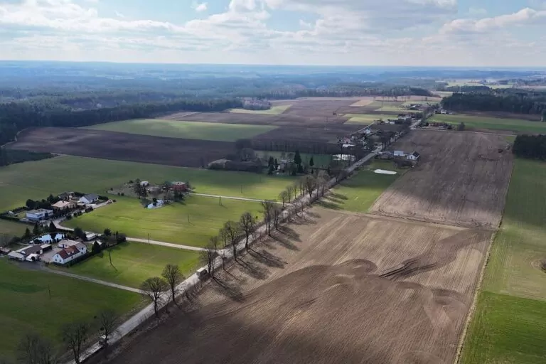 Tysiące drzew zostanie wyciętych pod budowę drogi na Pomorzu (FOTO: Zarząd Dróg Wojewódzkich)