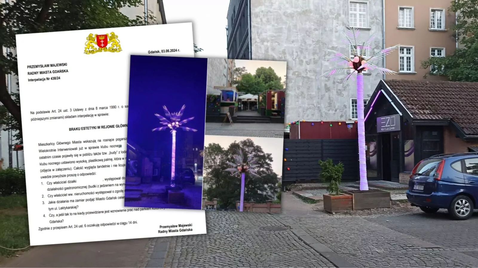 Palma w centrum Gdańska (FOTO: wbijamszpile.pl/interpelacja)