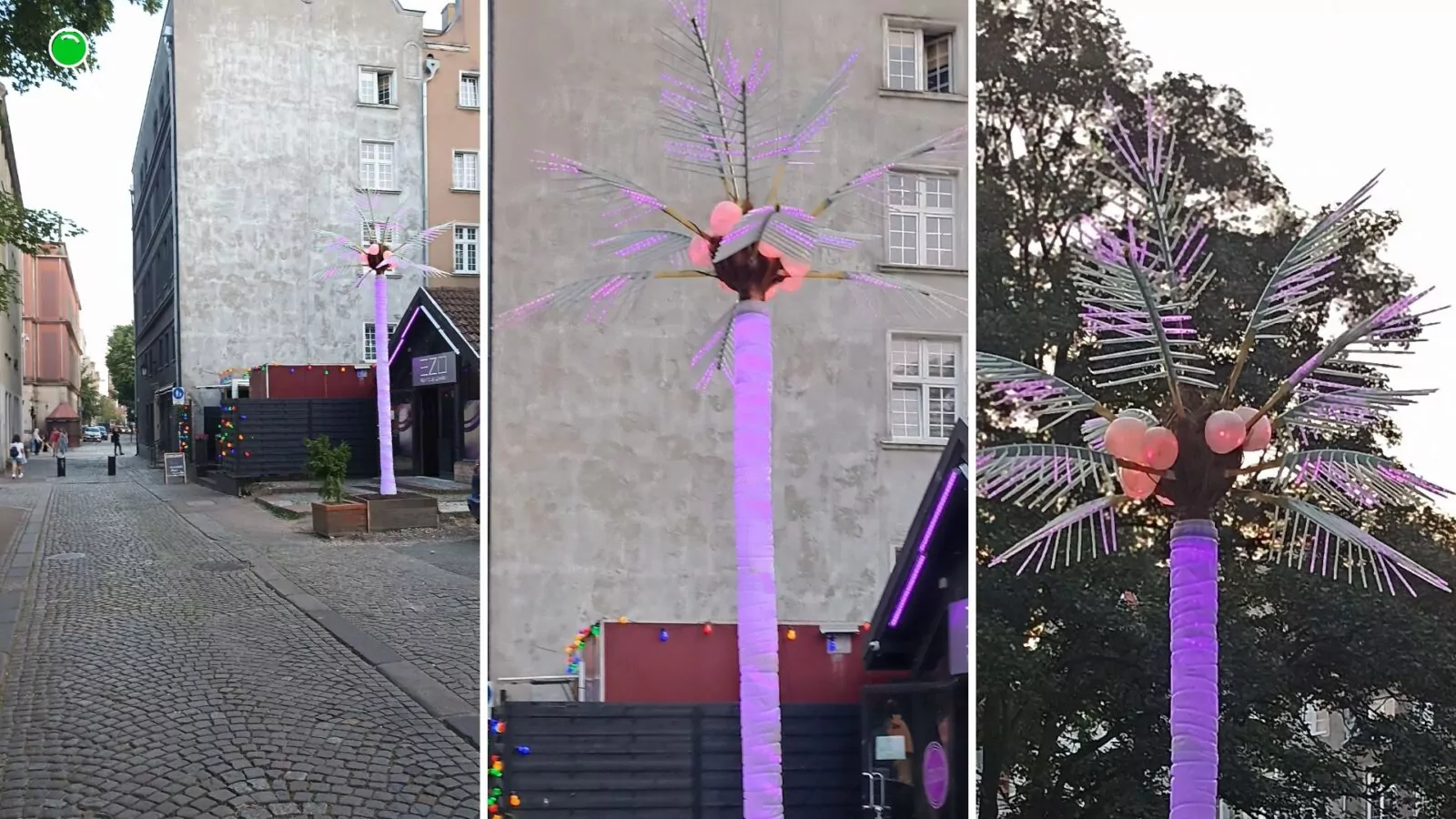 Świecąca palma psuje estetykę zabytkowego centrum Gdańska (FOTO: wbijamszpile.pl)