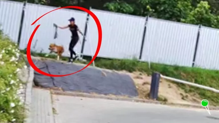 Szok! Pies pogryzł 9-latkę w Gdańsku. Policja szuka właścicielki (FOTO: KMP Gdańsk)