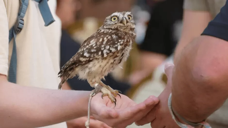 Egzotyczne zwierzęta odebrane w Gdańsku. Policja zatrzymała właściciela (FOTO: Straż Miejska w Gdańsku)