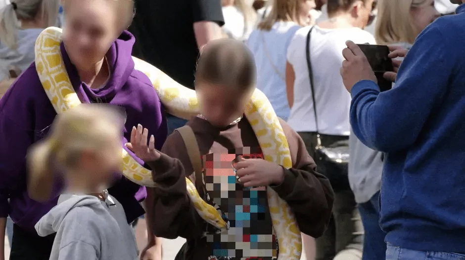 Egzotyczne zwierzęta odebrane w Gdańsku. Policja zatrzymała właściciela (FOTO: Straż Miejska w Gdańsku)