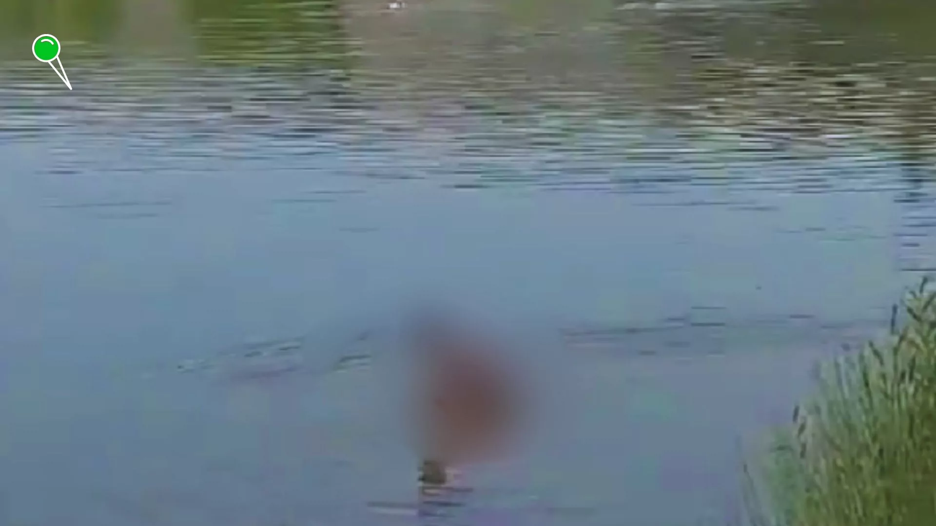 Kontrowersyjne wideo z kąpieliska na Trzech Stawach w Katowicach (FOTO: canva.com)