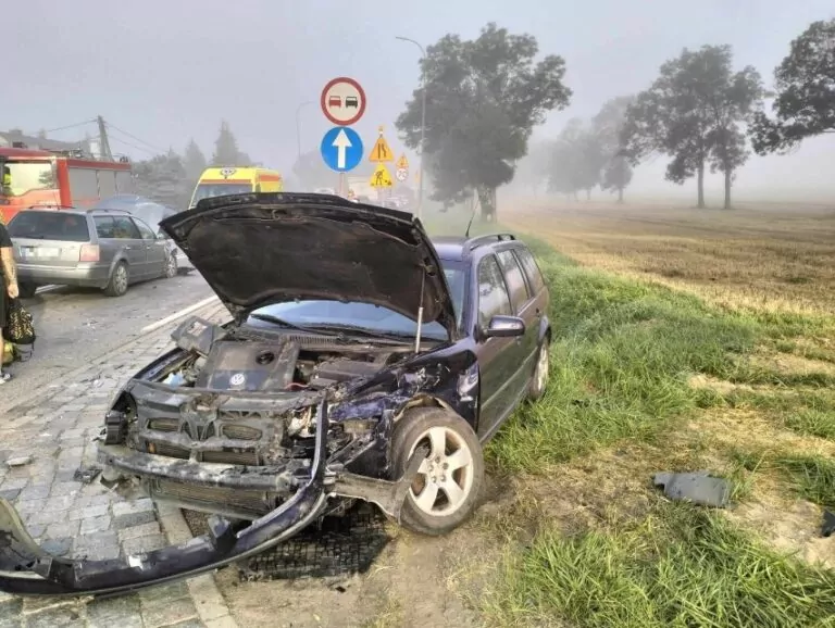 Wypadek w Gnojewie na trasie Malbork - Tczew (FOTO: KP PSP w Malborku)