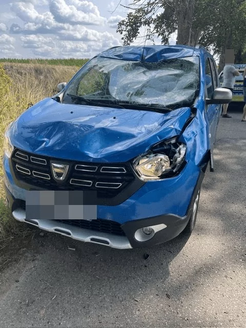 Groźna kolizja z łosiem. Cały przód auta pogięty (FOTO: KPP Kwidzyn)