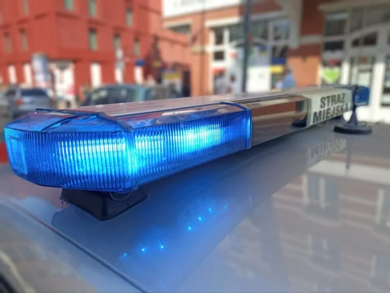 Korupcja w Straży Miejskiej w Gdańsku. Kolejna osoba z zarzutami (FOTO: wbijamszpile.pl)