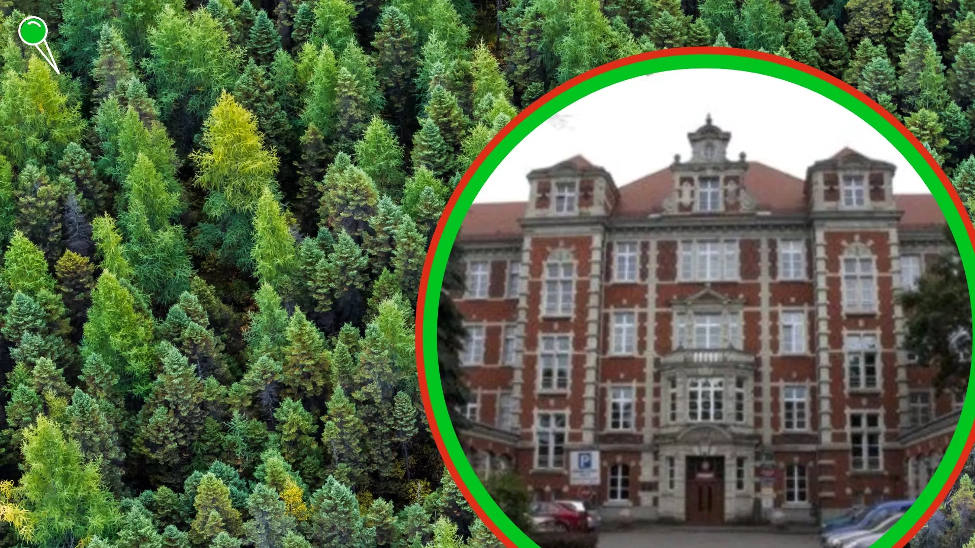 Odwołanie szefa RDLP w Gdańsku. W tle są duże nadużycia (FOTO: canva.com/RDLP Gdańsk)