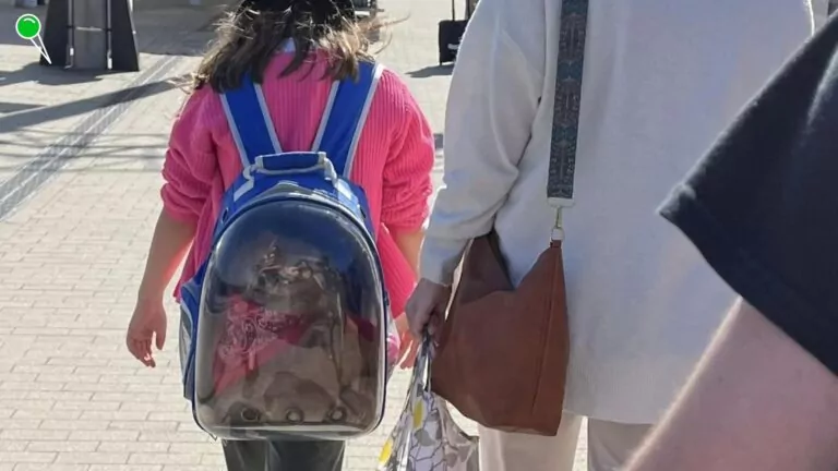 Burza w sieci. Zdjęcie psa w "plastikowej trumnie" podczas upału (FOTO: Bambi Suwuter/Facebook.com)