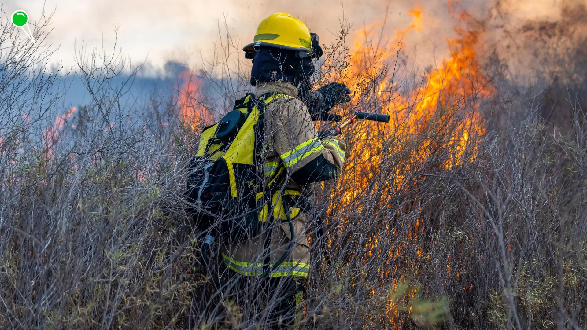 Turcja walczy z pożarami lasów. Najgorzej jest w Izmirze (FOTO: canva.com)