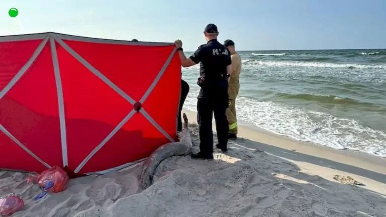 W Białogórze utopił się 84-latek z Warszawy (FOTO: KPP Puck)