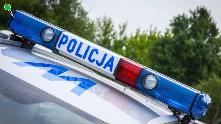 Wypadek na al. Grunwaldzkiej w Gdańsku. Kierująca była pijana (FOTO: Canva.com)