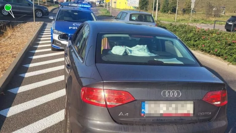 Kokaina, metadon i alkohol. Gdańska policja działa na drogach (FOTO: KMP Gdańsk)