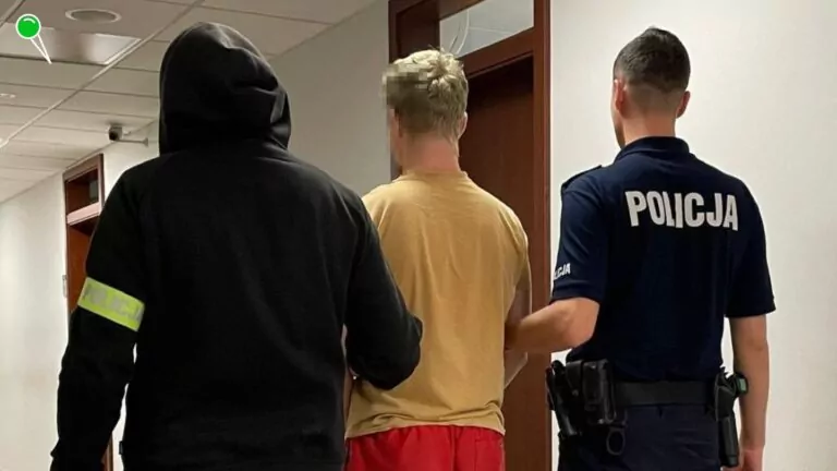 Pobicie przy ul. Elektryków w Gdańsku. Areszt dla 20-latków (FOTO: KMP Gdańsk)