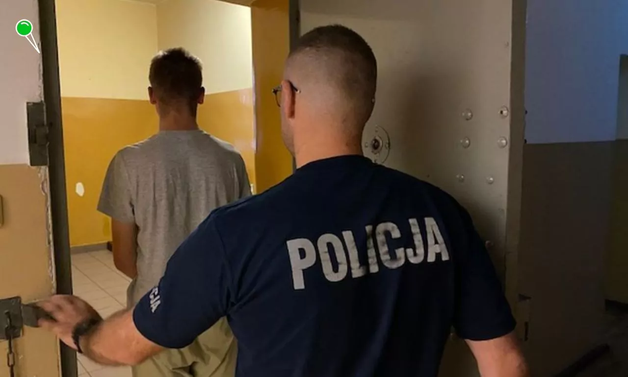Policja zatrzymała 18-latka za zniszczenie zabytków w Kwidzynie (FOTO: KPP Kwidzyn)