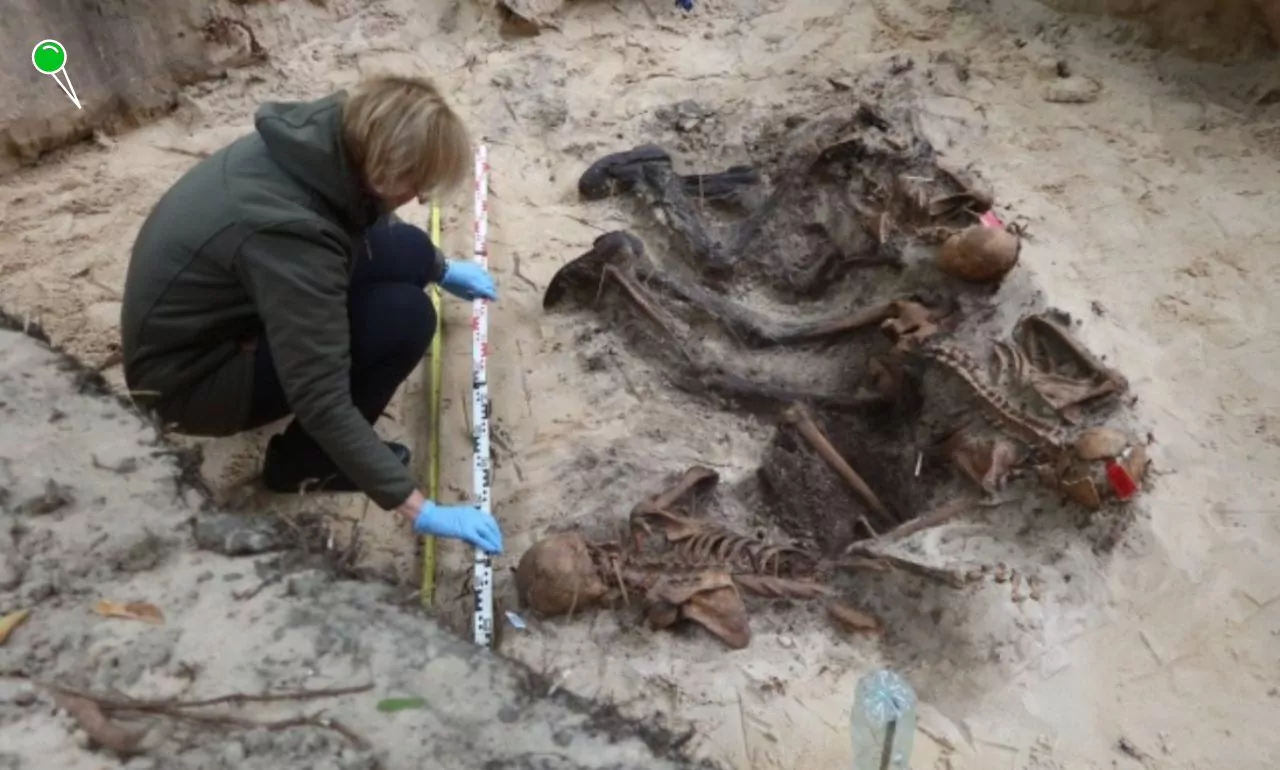 Trzy szkielety odkryte na Westerplatte. Nowe fakty z 1939 r. (FOTO: IPN)