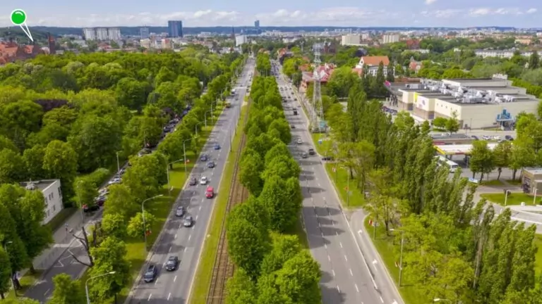 Wielka Aleja Lipowa w Gdańsku, zabytkowa przestrzeń otoczona setkami wiekowych lip, przejdzie kolejne zabiegi pielęgnacyjne (FOTO: Jerzy Pinkas/gdansk.pl)