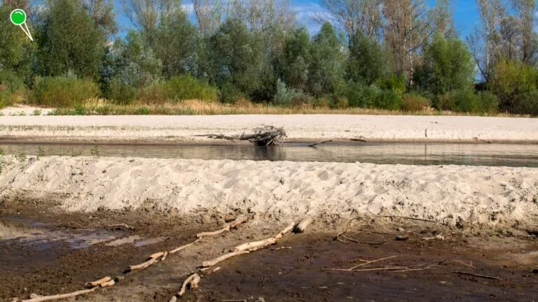 Susza hydrologiczna w Polsce. Fatalny poziom wody w Wiśle (FOTO: canva.com)