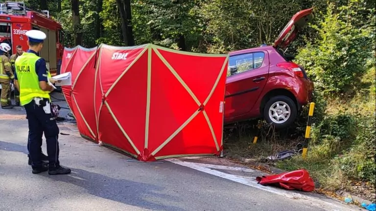 Tragiczny wypadek w Otominie. 77-latek i 75-latka nie żyją (FOTO: KPP Pruszcz Gdański)